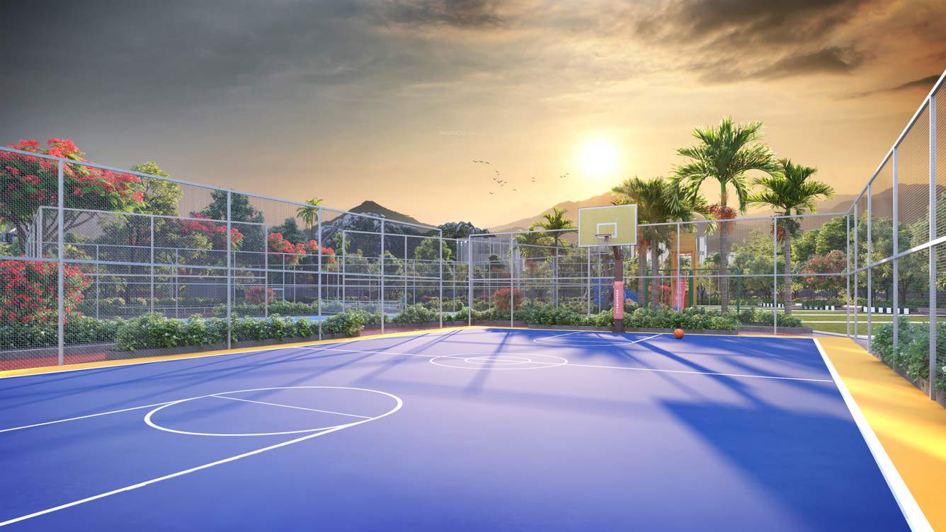  landscape Basketball Court