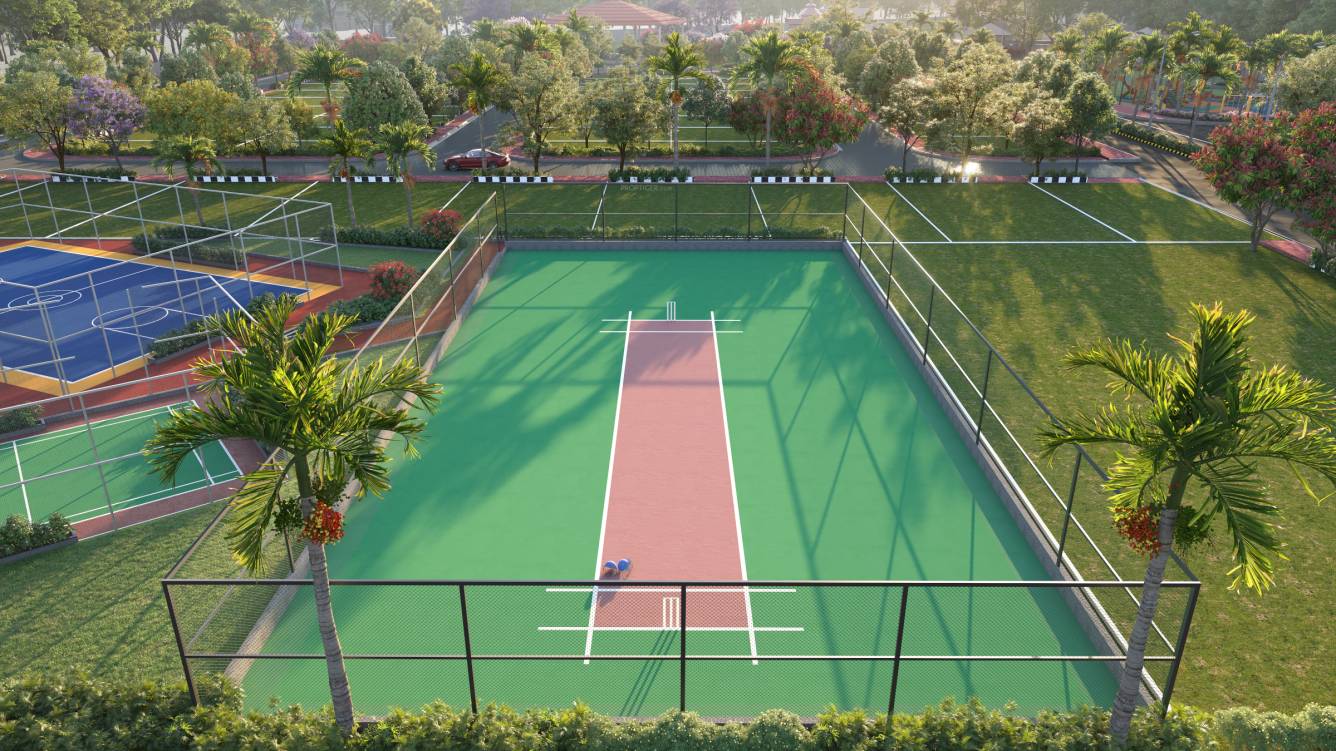  landscape Cricket Pitch