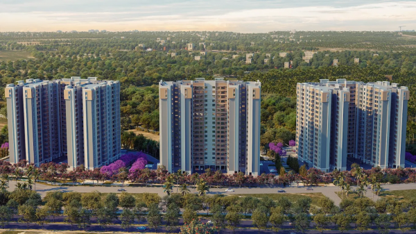 Elevation verde Elevation