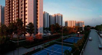  verde Basketball Court