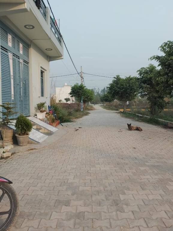  royal green city Plot