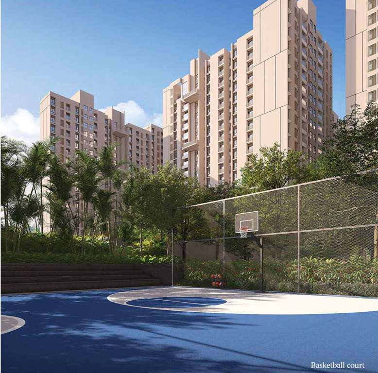  optima phase 1 Basketball Court