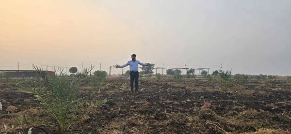  treasure-island Plot