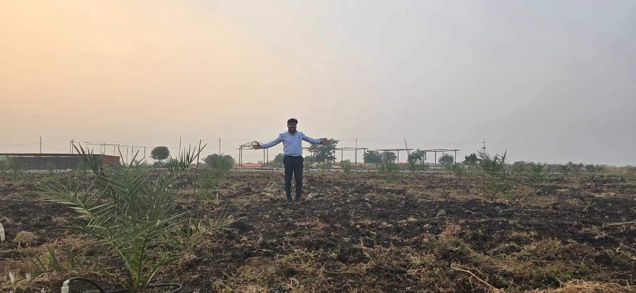  treasure island Plot