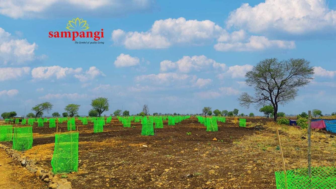  treasure island Plot