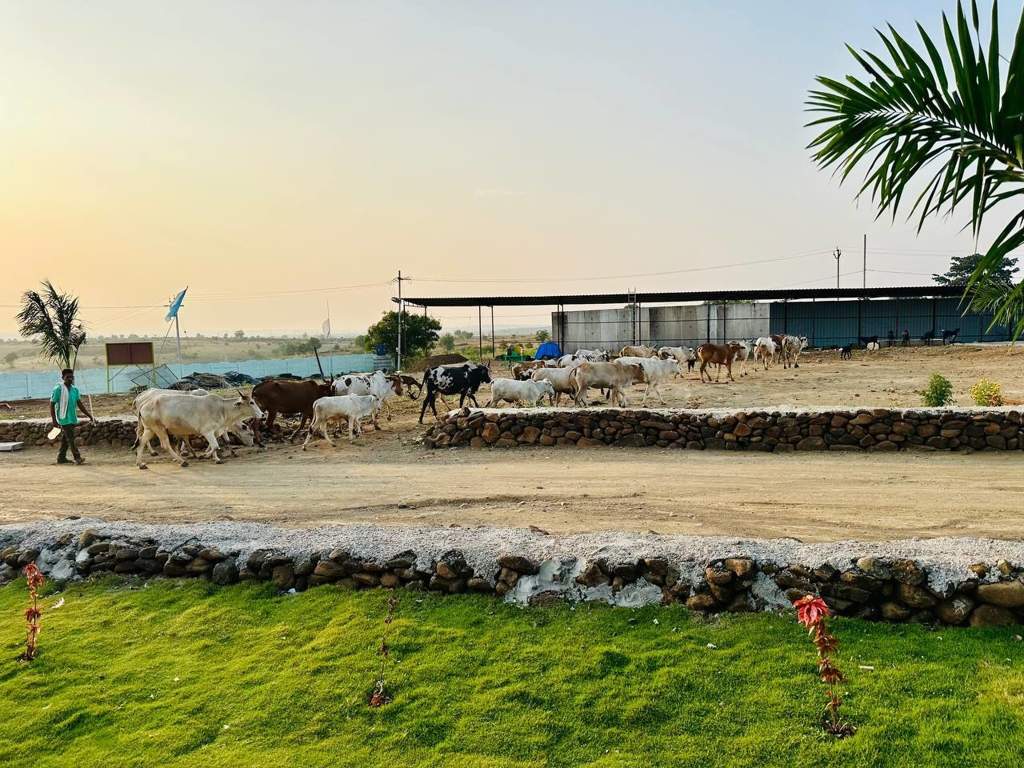  treasure island Plot