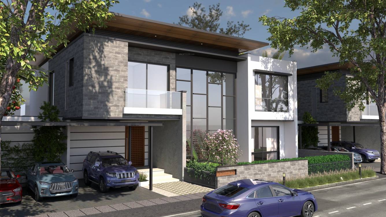  treasure trove Elevation