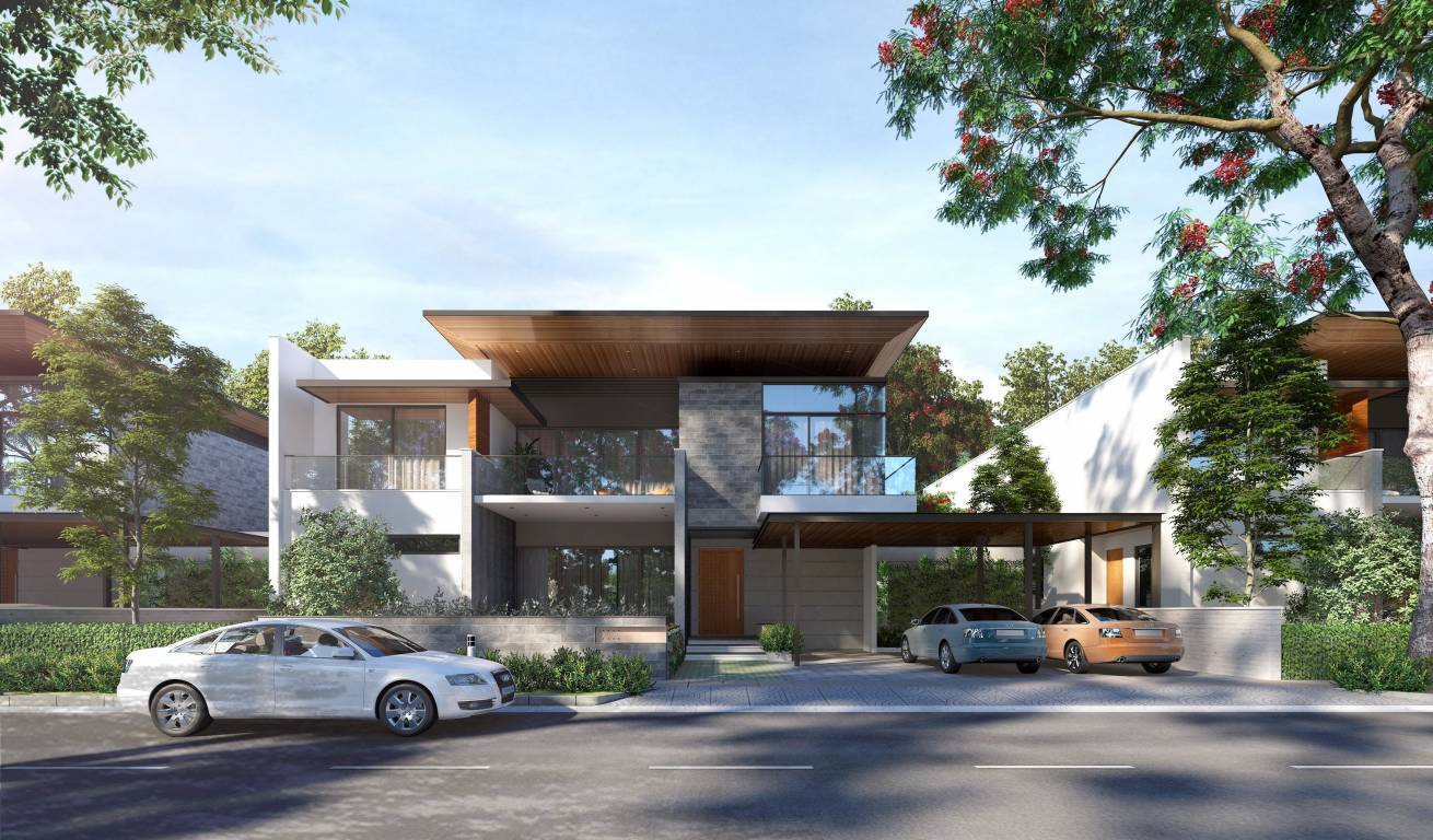  treasure trove Elevation