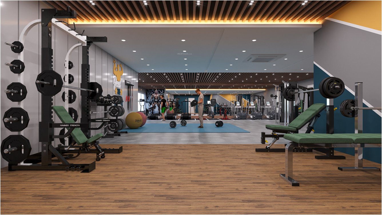  urban ville Gymnasium