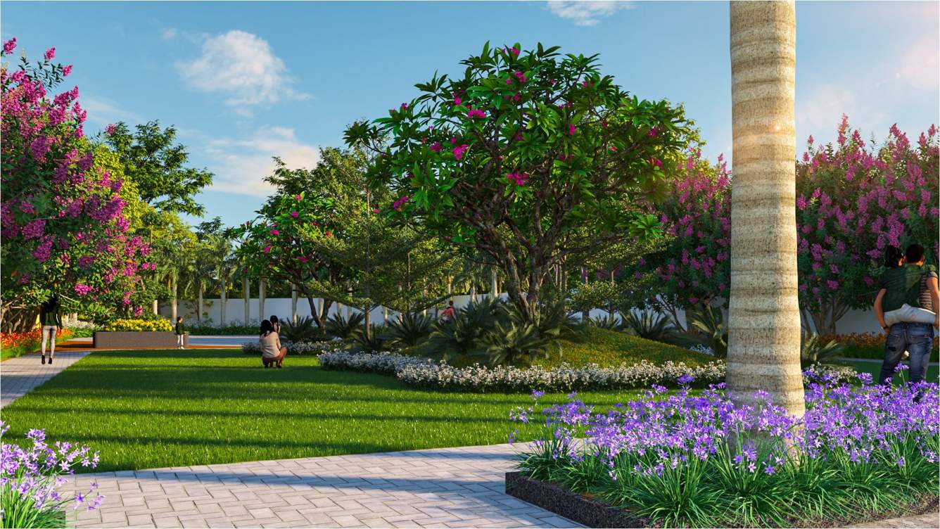  urban ville Landscape Garden and Tree Planting