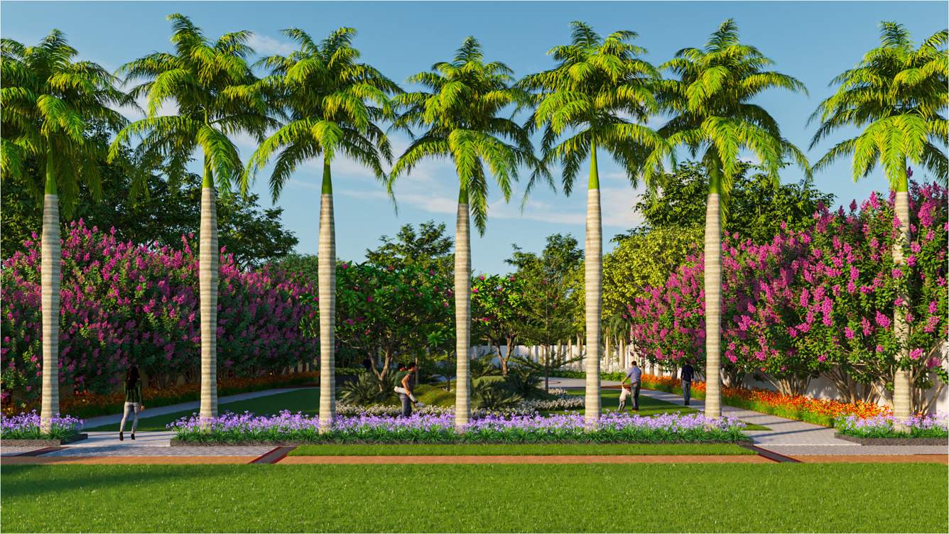  urban ville Landscape Garden and Tree Planting