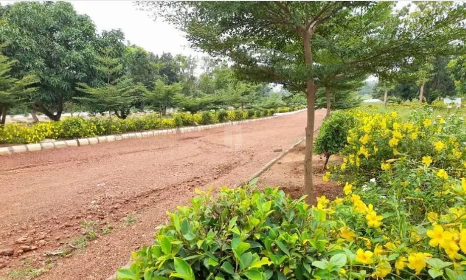  alluri s nandanavanam phase iii Elevation