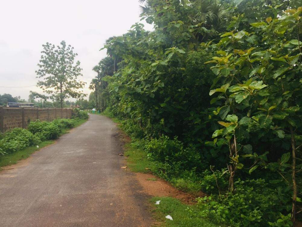  alluri s nandanavanam phase iii Internal Roads & Footpaths