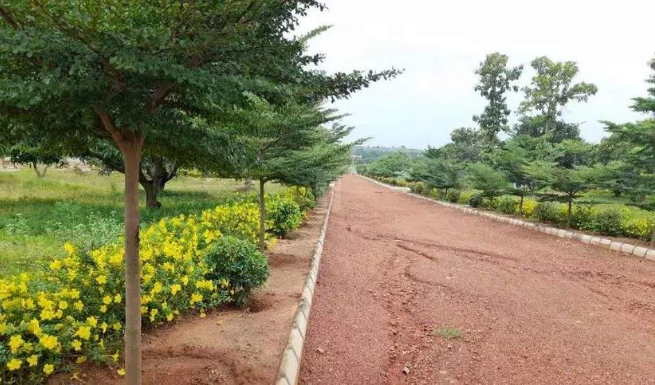  alluri s nandanavanam phase iii Landscape Garden and Tree Planting