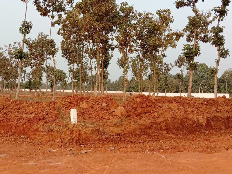  alluri s nandanavanam phase iii Others