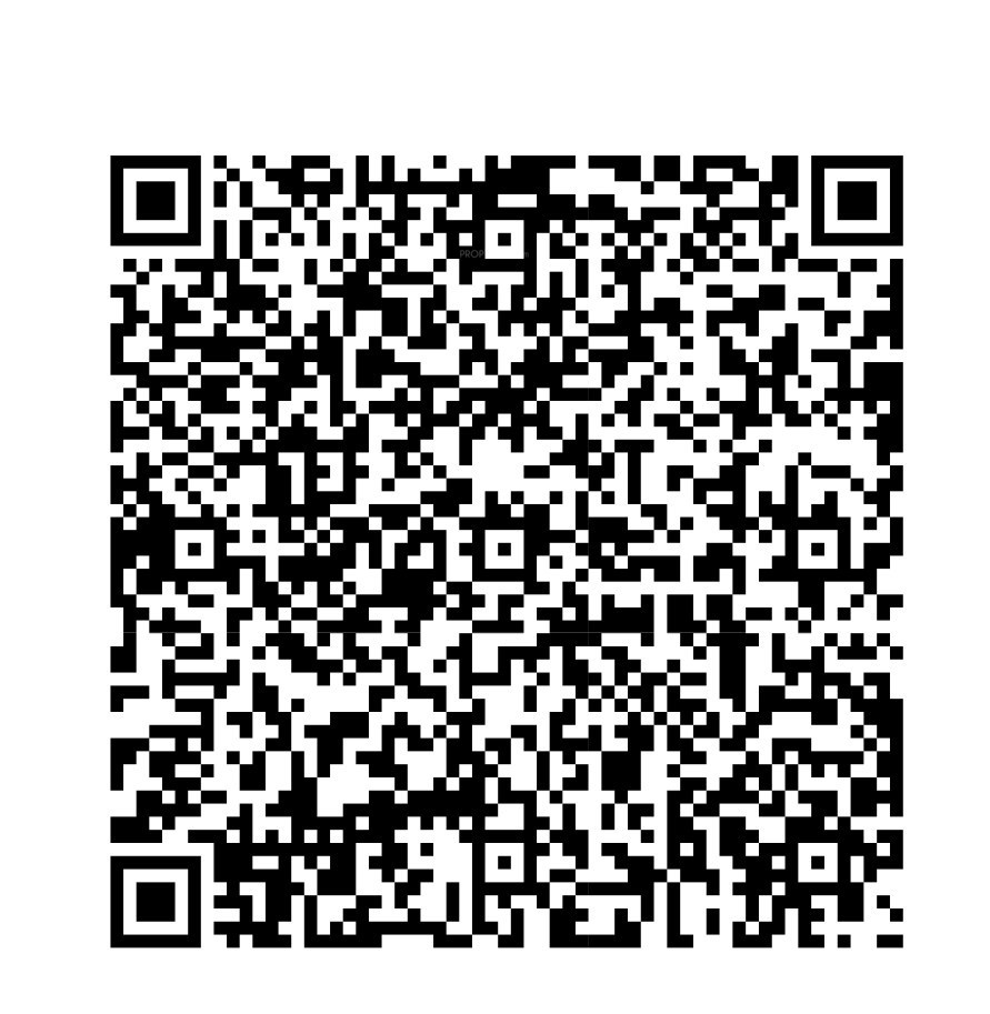 QR Image