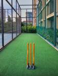  platinum-the-reserve Cricket Pitch