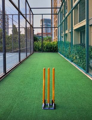  platinum-the-reserve Cricket Pitch