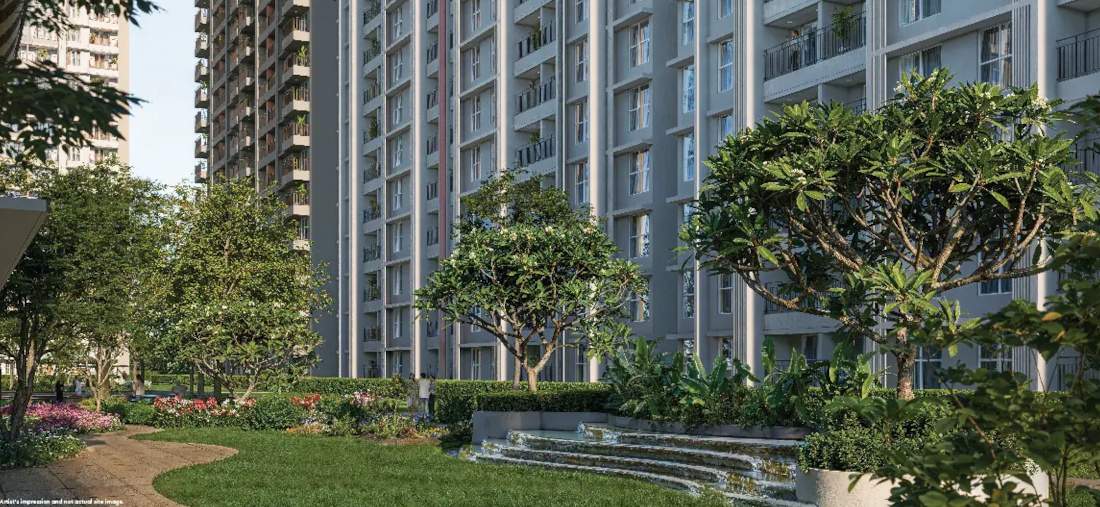 evergreen square Landscape Garden and Tree Planting