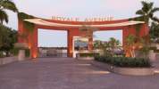 Royale Avenue