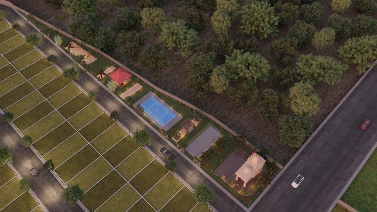 royale avenue Landscape Garden and Tree Planting