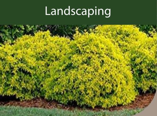  jayram-residency-phase-ii Landscape Garden and Tree Planting