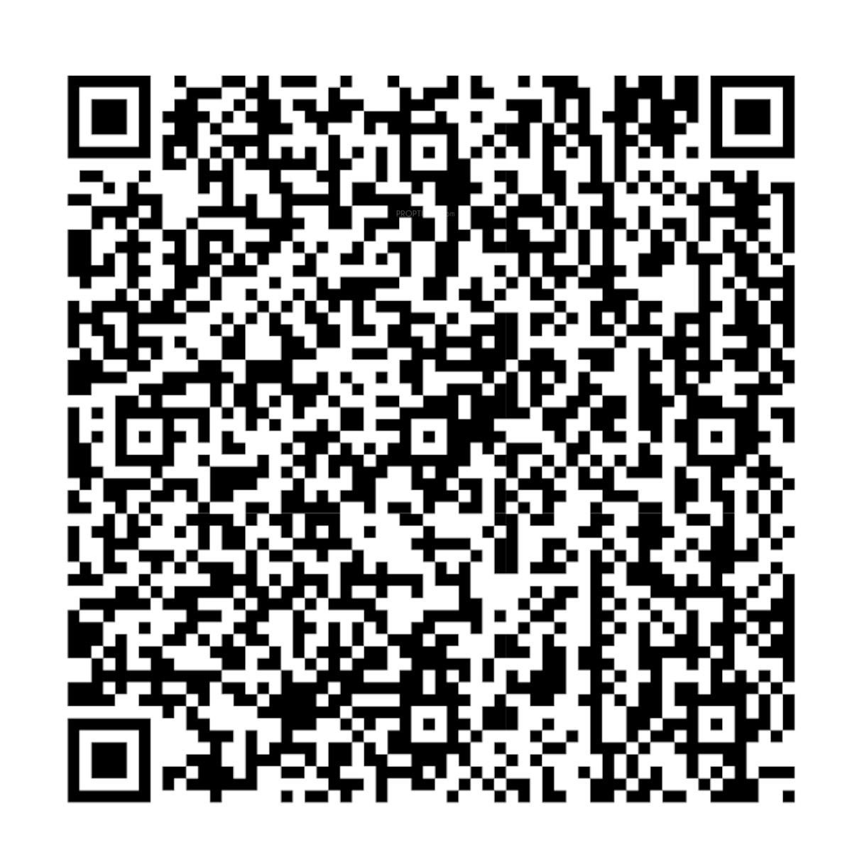 QR Image