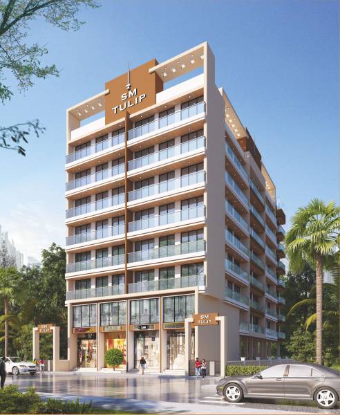 Elevation tulip Elevation