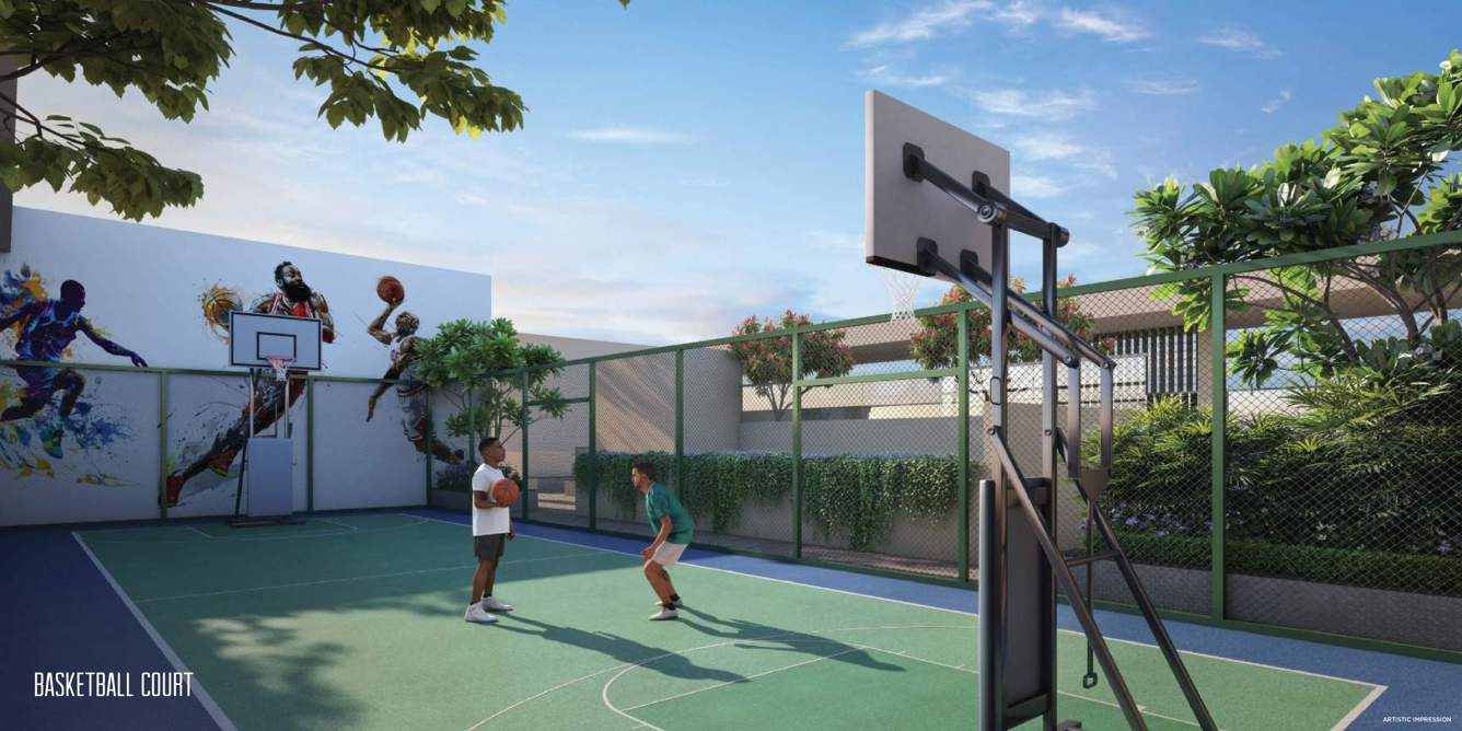  10 elite akasa Basketball Court