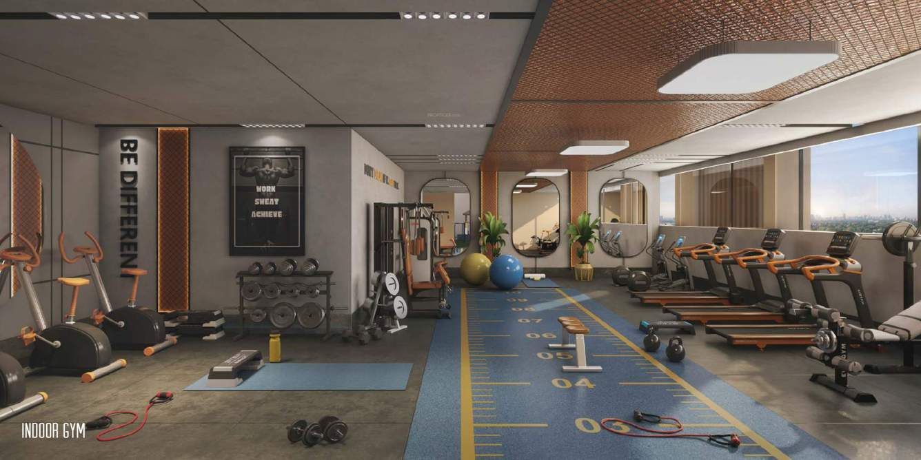  10 elite akasa Gymnasium