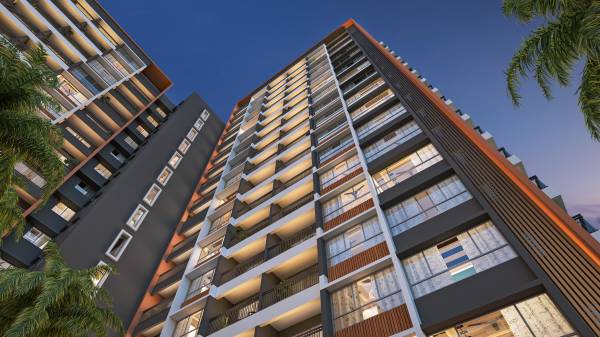 Elevation dreamsong Elevation