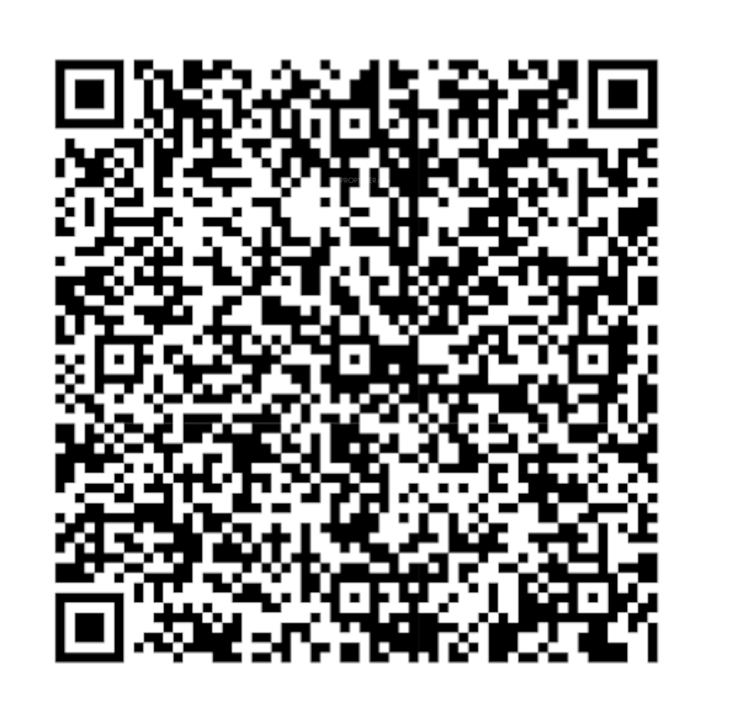 QR Image