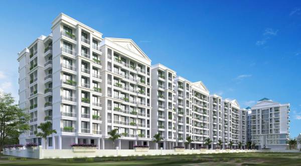  pioneer-aura Elevation