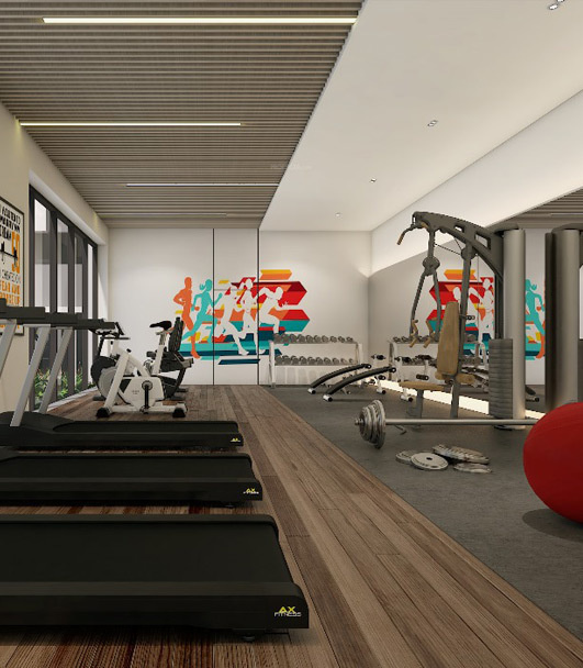  dra polaris Gymnasium