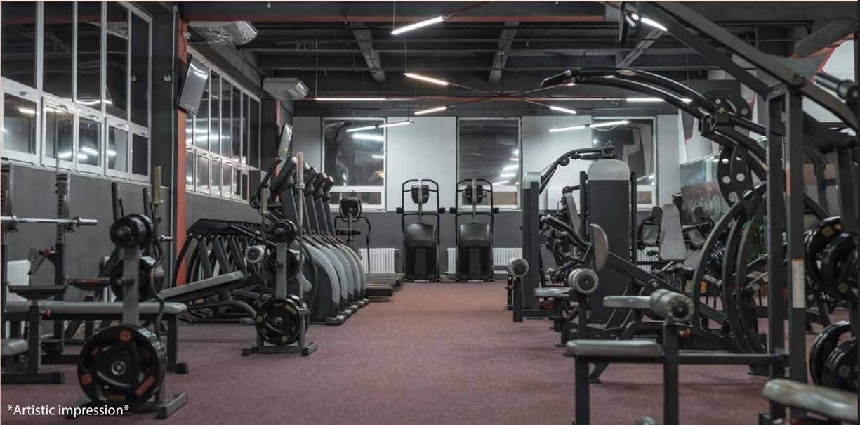  gardens of gaia Gymnasium