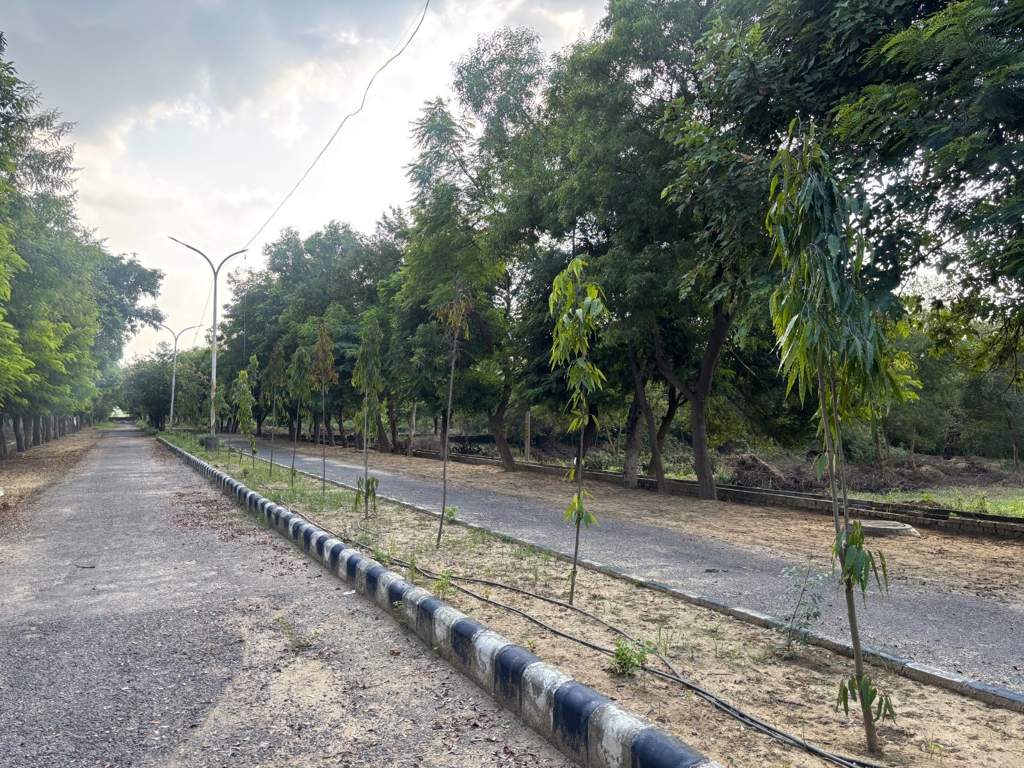 river park Internal Roads & Footpaths