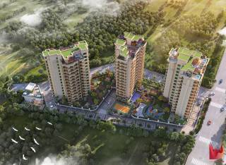 Project Image Project Image