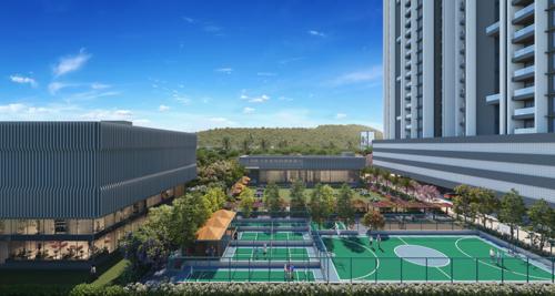  wyce-exclucity Basketball Court