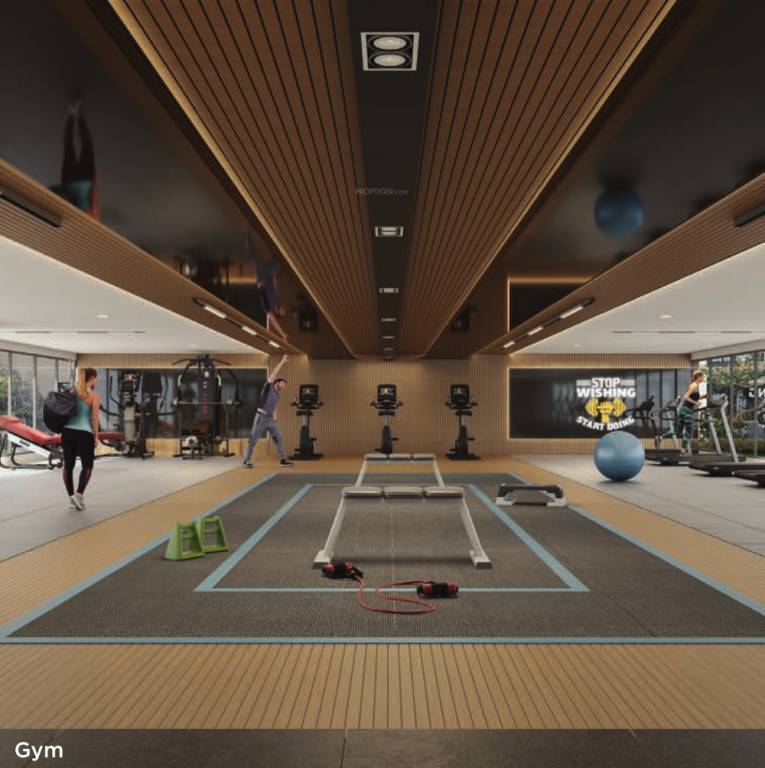  wyce exclucity Gymnasium