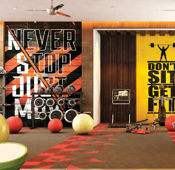  nest bonsai Gymnasium