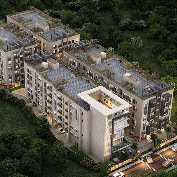  league one Elevation