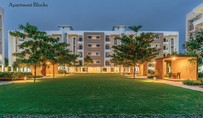  ziva charukesi Elevation