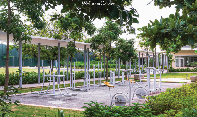  ziva charukesi Gymnasium