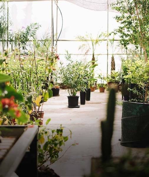  petals Landscaped Gardens