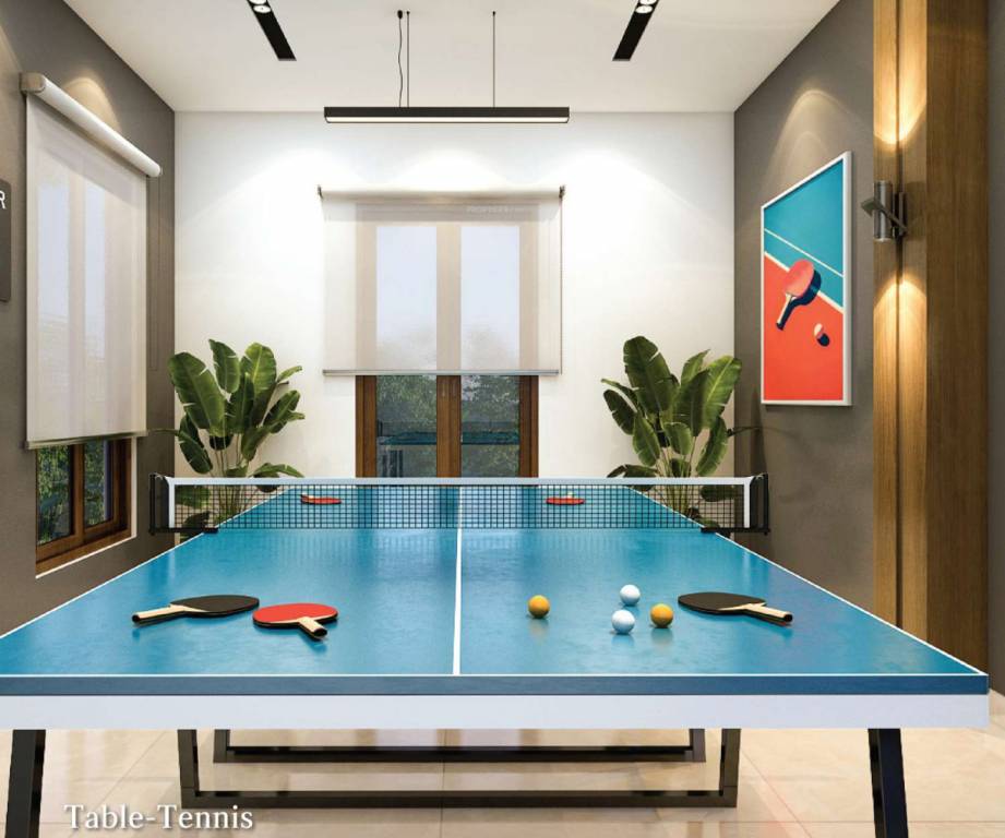  encanto Table Tennis