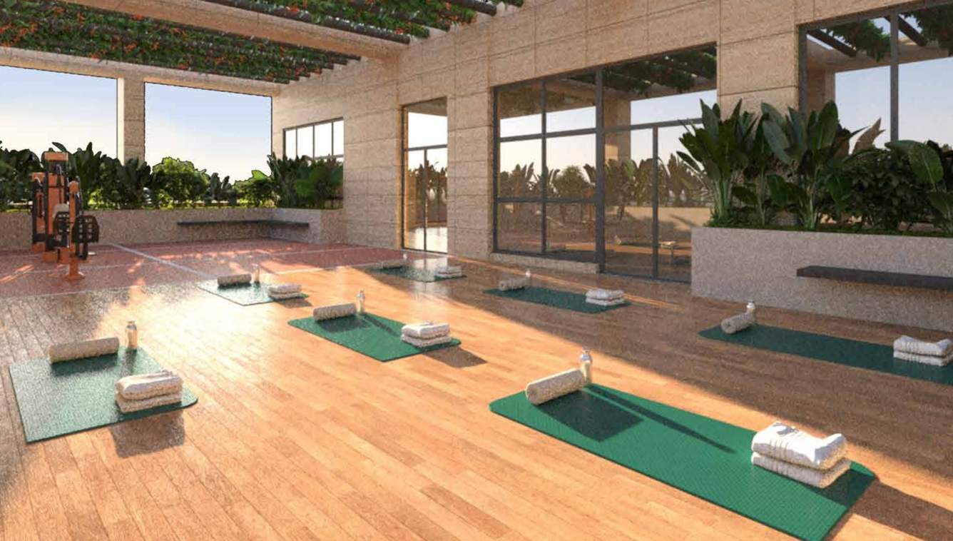 anaaya Yoga/ Meditation Area