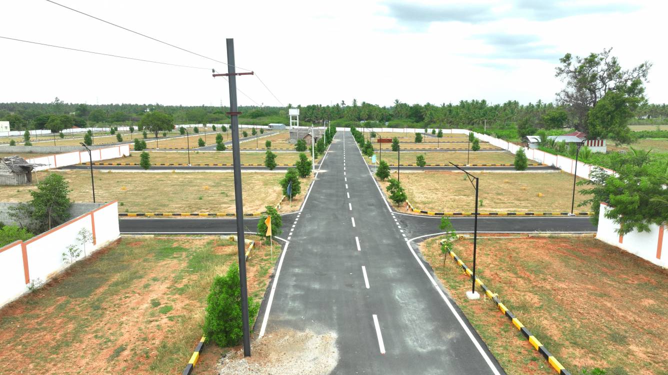 classic avenue phase i Plot