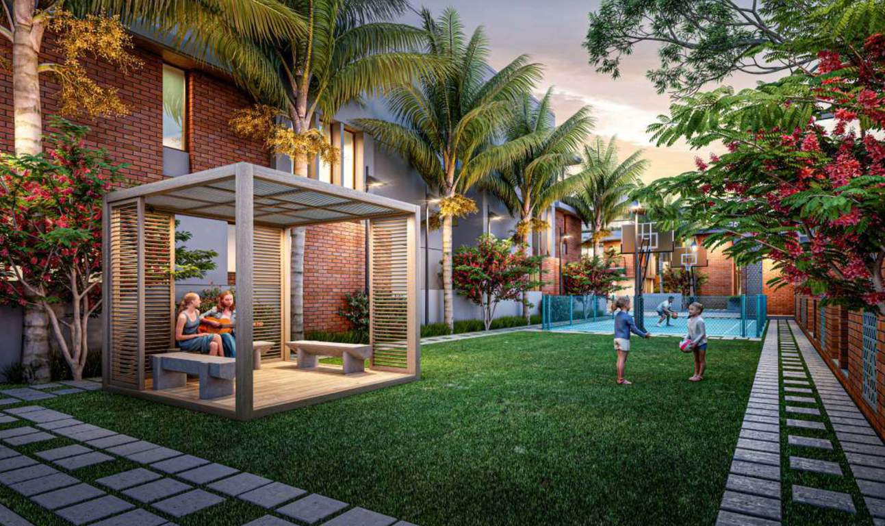  arcadia Observatories