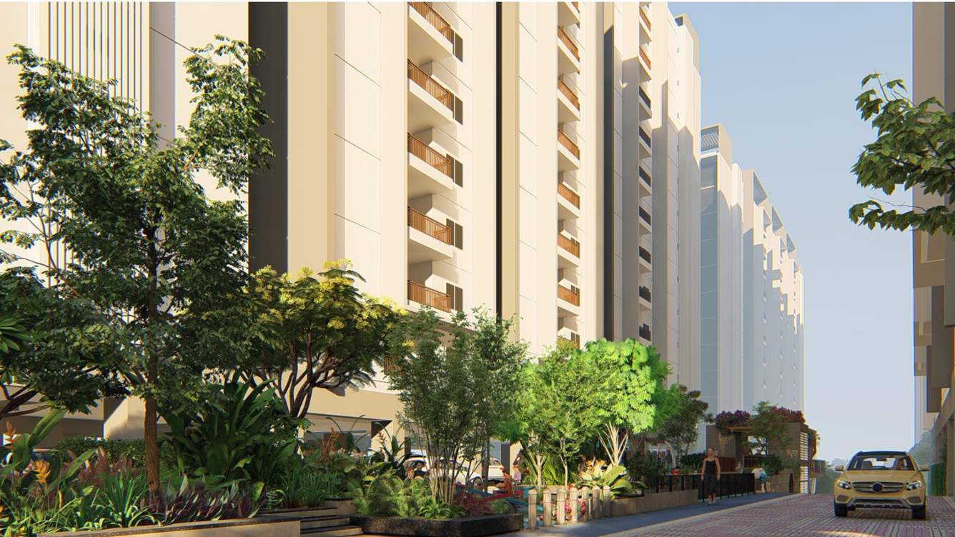  luxor exclusive Others