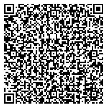 QR Image